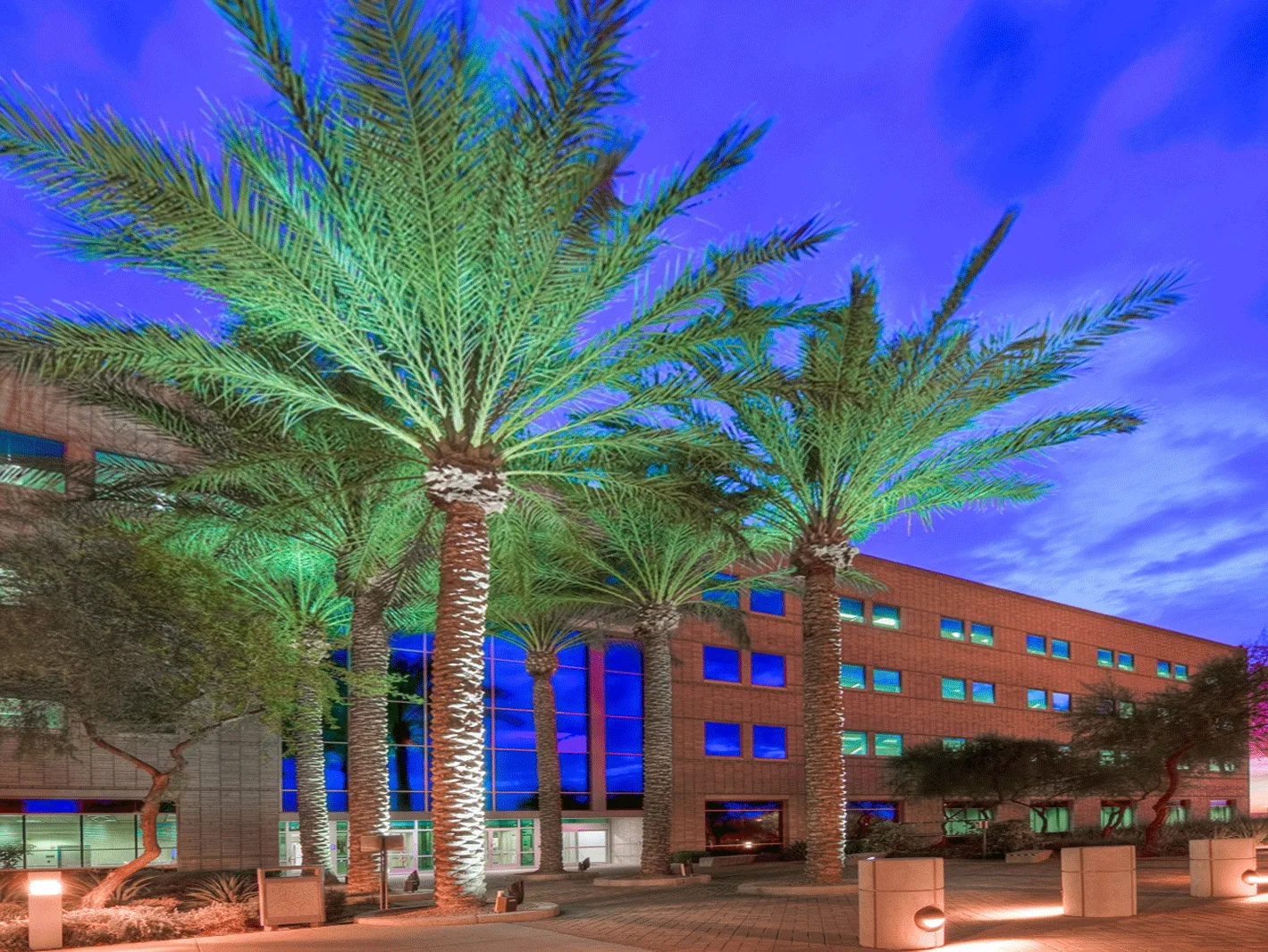 Commercial Roof Repair in the Intel Ocotillo Campus Area